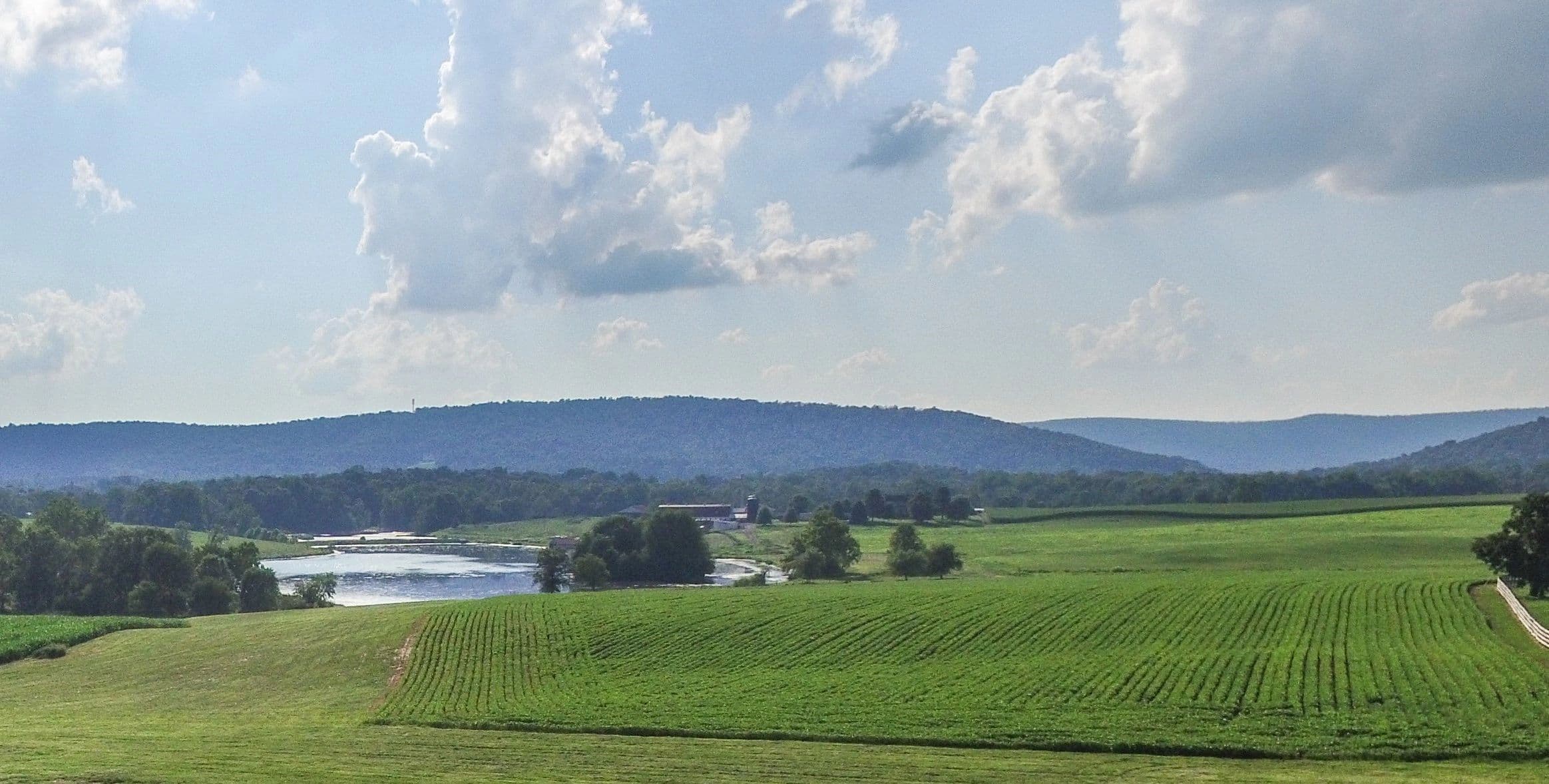 Rows of crops in the foreground, a pond and the farm buildings beyond, and the Blue Ridge on the horizon.